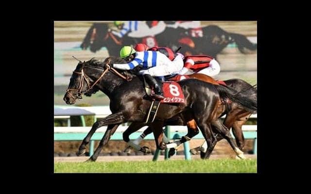 宝塚記念を血統で分析。春競馬のラストで注目すべきは「ストームキャット」と「オルフェーヴル」の血
