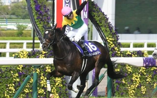 【宝塚記念枠順確定】タイトルホルダーは3枠6番、ディープボンドは7枠15番