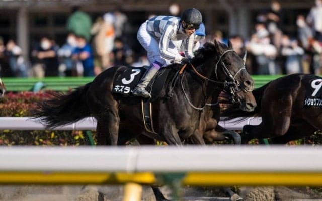 【丹沢S】池江師「パサパサの馬場克服は収穫」キスラーがオープン入り