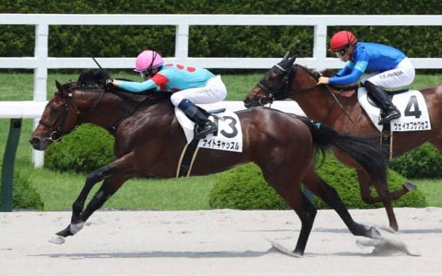 【新馬/阪神5R】シルバーステート産駒 ナイトキャッスルがデビューV