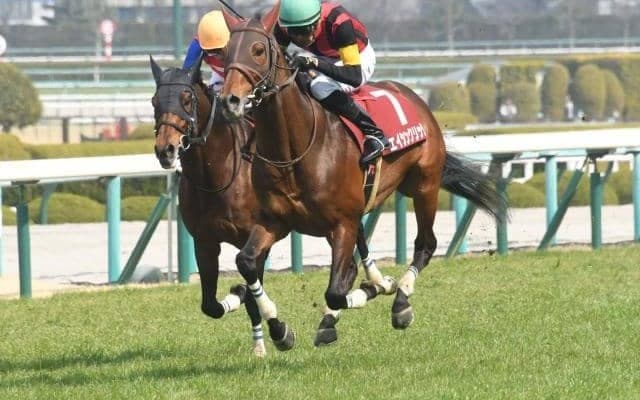 【東京ジャンプS出走馬・騎手確定】エイシンクリック＆西谷誠騎手、ケイティクレバー＆上野翔騎手など12頭