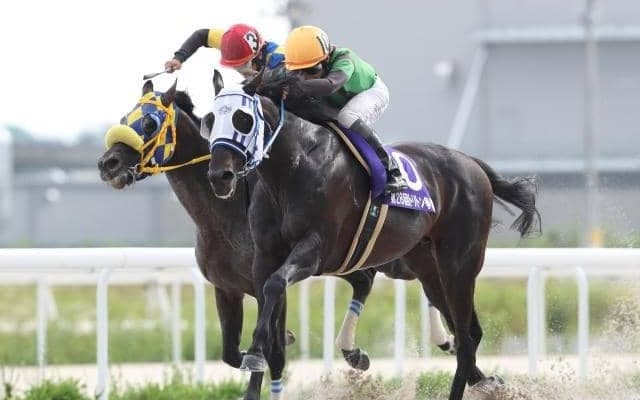 【名古屋・トリトン争覇結果】ウインユニファイドが惜敗続きにピリオド、沖田明子師と人馬共に重賞初V