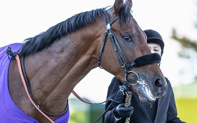 【宝塚記念 調教後馬体重】タイトルホルダーは476kg、エフフォーリアは518kg