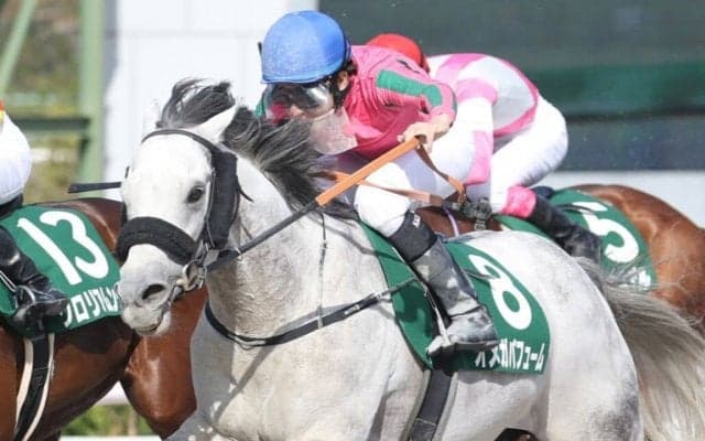 【帝王賞】JRA出走予定馬