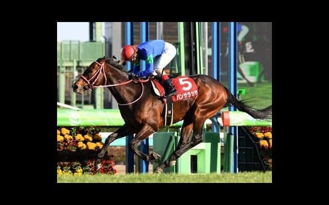 宝塚記念に豪華メンバーが集結。穴党記者はタイプの違う２頭に高配当の夢を託す