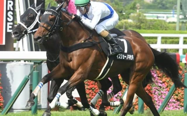 【次走】イズジョーノキセキは放牧へ 石坂師「一回使ってエリザベス女王杯へ」