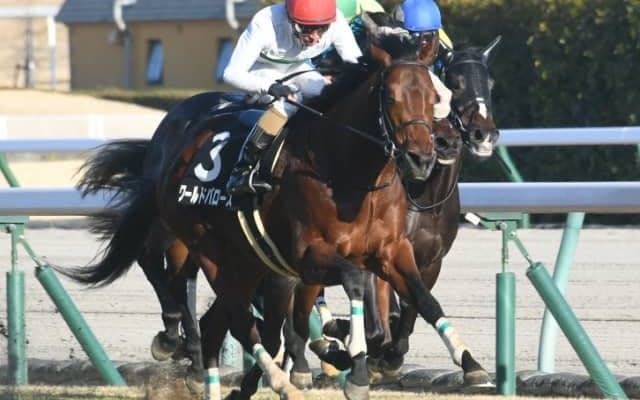 【次走】ワールドバローズは引き続き和田竜二騎手とのコンビで関屋記念へ