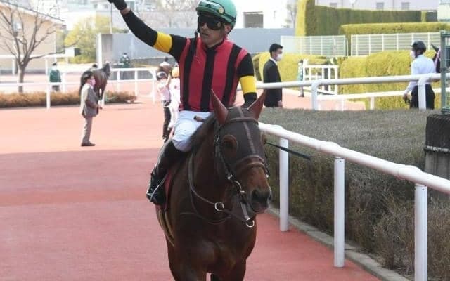 【今日の注目ポイント】障害重賞の東京ジャンプS、ダートOP・天保山Sなど