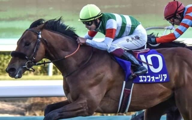 【宝塚記念予想】上積み必至で圧勝ムード!? 混戦模様も「あの馬」に期待する完全復活