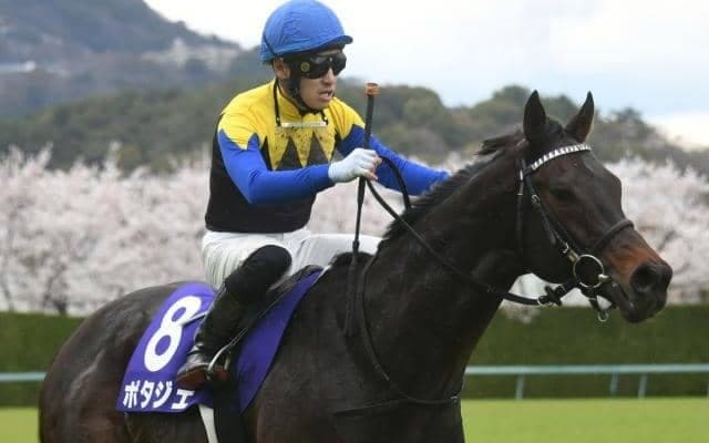 【宝塚記念】ポタジェはフランス語で「家庭菜園」パンサラッサの香港表記は「本初之海」 出走馬の馬名意味と香港表記を紹介