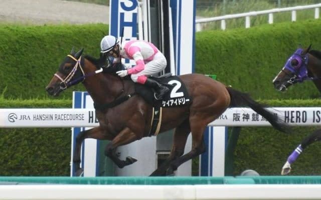 【天保山S結果】ケイアイドリーが人気に応えオープン初V