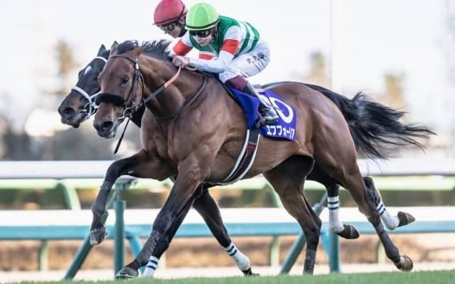 【宝塚記念前日オッズ】エフフォーリアが3.5倍で1番人気