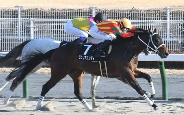 【宝塚記念】62年の歴史でフルゲートはわずか2回 過去のフルゲート時はどんな傾向が？