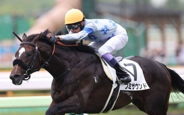 【新馬/函館5R】武豊 フミサウンドがデビューV