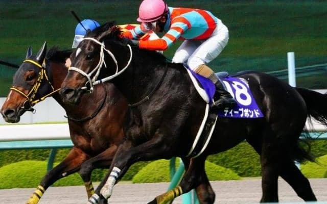 【宝塚記念予想】前走のGI経験が勝利へのカギ 波乱傾向も「格」が重要