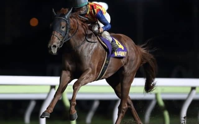 【大井・帝王賞枠順確定】テーオーケインズは8枠8番、オメガパフュームは2枠2番