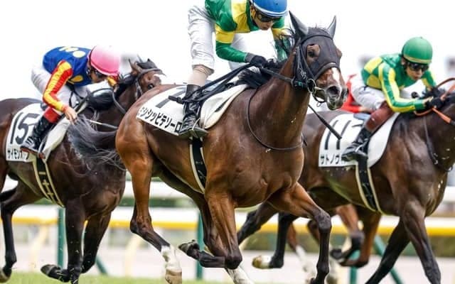 【東京5R新馬戦結果】ダノンバラード産駒ミシシッピテソーロが差し切り勝ち