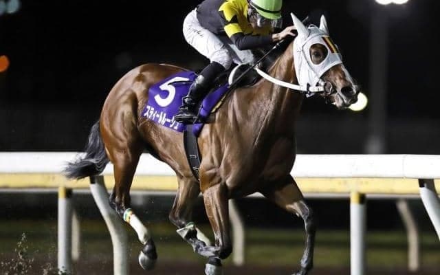 【大井・優駿スプリント枠順確定】スティールルージュは8枠15番、プライルードは8枠16番