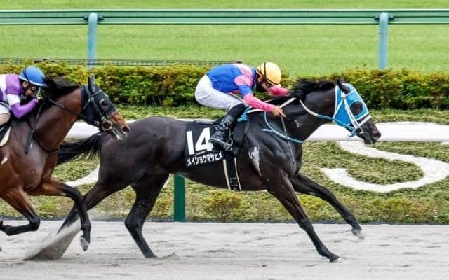 【JRA・WIN5】本日のWIN5は的中104票、配当490万6120円