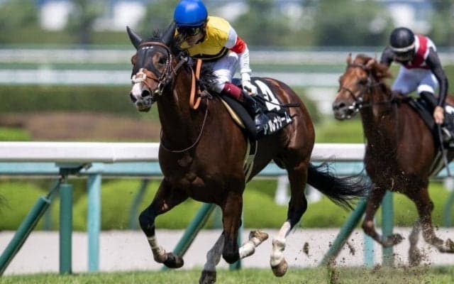 【城崎特別】アルナシームが断然の人気に応える