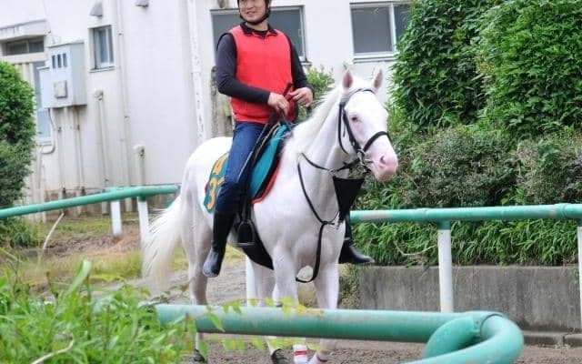 “白毛の女王”ソダシに続く 話題の白毛アオラキがデビュー/関東馬メイクデビュー情報