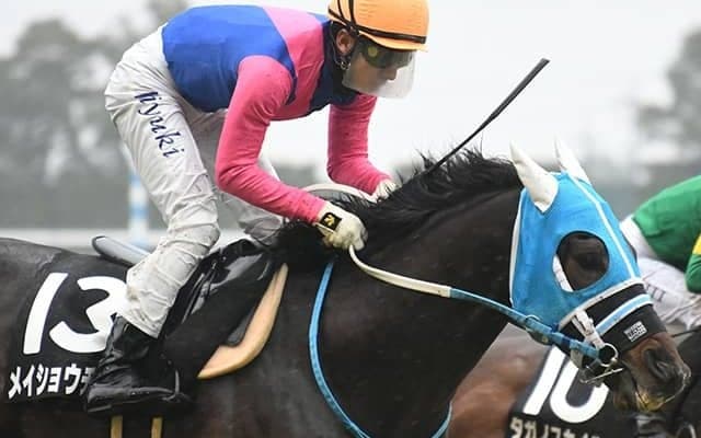 【AI予想・CBC賞】着順は「2ケタ続き」も能力通用!? 極穴「◎」候補に大荒れ期待のローカル開催