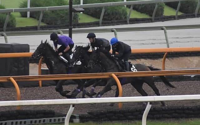 【ラジオNIKKEI賞想定騎手】サトノヘリオスは岩田望来騎手、ボーンディスウェイは石橋脩騎手