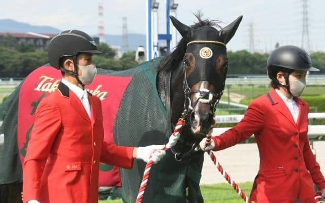 血統的にも楽しみが大きいタイトルホルダーの凱旋門賞挑戦
