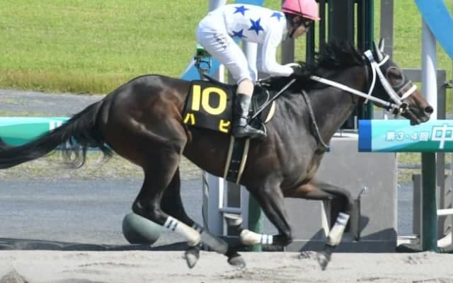 【ジャパンダートダービー】コマンドライン、ブリッツファング、スピーディキックなど選定馬が発表