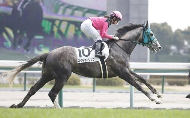 ステイゴールド系が圧倒的な成績を残す福島芝2600m