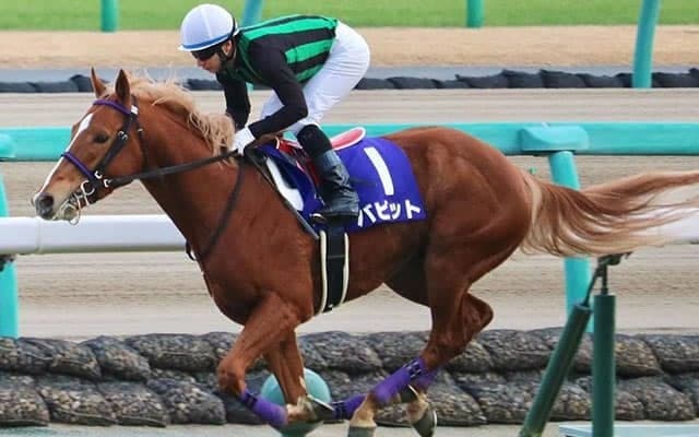 【ラジオNIKKEI賞】3歳馬限定のハンデ戦　成長過程にある未来の名馬が繰り広げる波乱必至の戦い