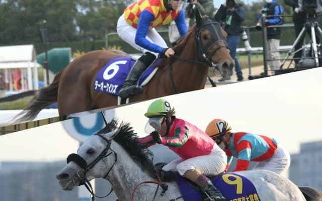 【帝王賞】29日20時10分発走！ テーオーケインズ、オメガパフュームなど出走馬全頭のプロフィール