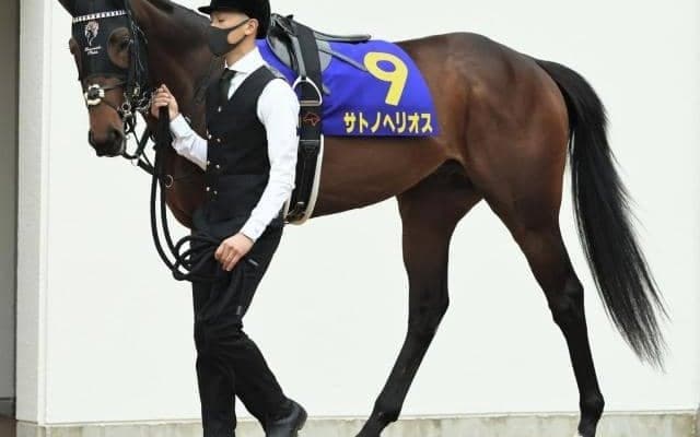 【ラジオNIKKEI賞予想オッズ】サトノヘリオスが予想1番人気