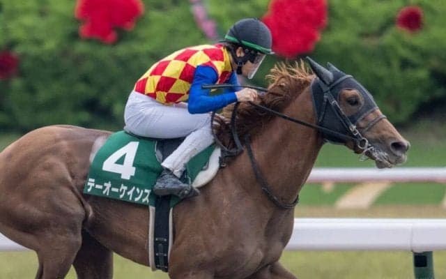 【帝王賞】テーオーケインズは8枠8番へ