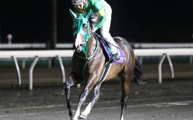 【門別・栄冠賞結果】世代最初の重賞は3連単389万の大波乱　しんがり人気コルドゥアンがV