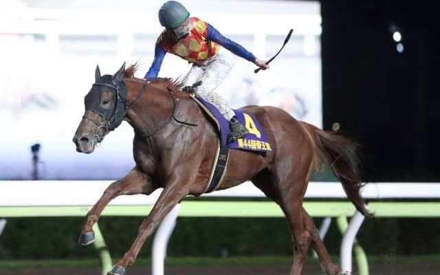 【帝王賞】上半期のダート王者決定戦に実力馬集う