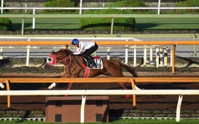 プリマヴィスタ、七夕賞1週前追い切り速報/栗東トレセンニュース