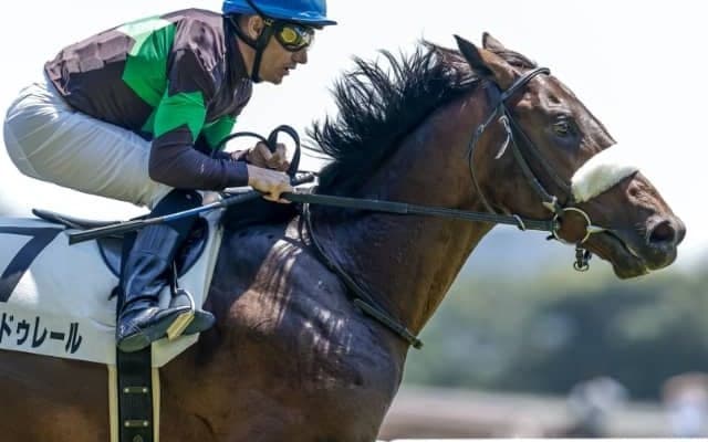 【次走】シャンドゥレールは札幌2歳Sへ 昨年の2歳女王と同父、同厩舎の素質馬