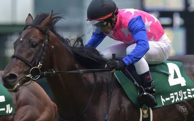 【七夕賞想定】連覇狙うトーラスジェミニ、福島巧者ヴァンケドミンゴ、GI2着馬ステラリアなど