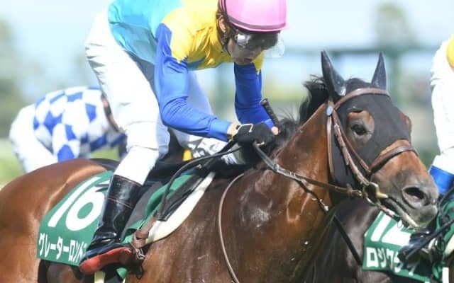 新種牡馬グレーターロンドンの産駒が初勝利　単勝1.1倍の圧倒的人気に応えて7馬身差圧勝