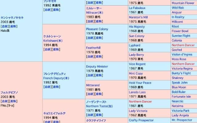 【POG】近親にトーセンジョーダン、カンパニーなど名牝系の2歳馬が7月9日にデビュー予定