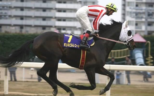 ボンネビルレコードが誘導馬を引退　帝王賞当日、9年間の誘導馬生活に幕引き