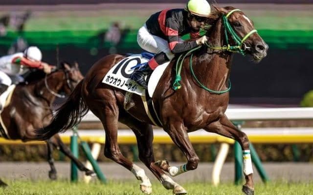 【ラジオNIKKEI賞予想】AIが指名したのは興味深い一頭 付け入る隙は十分にありそう！