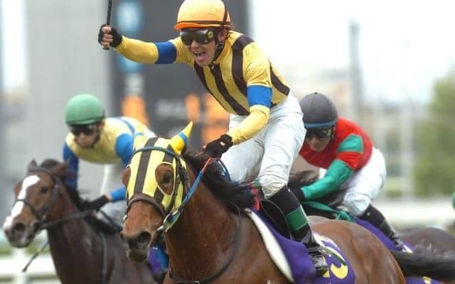 【POG】桜花賞馬を母に持つサトノミネルヴァが7/9か10に福島でデビュー 鞍上は菅原明良騎手