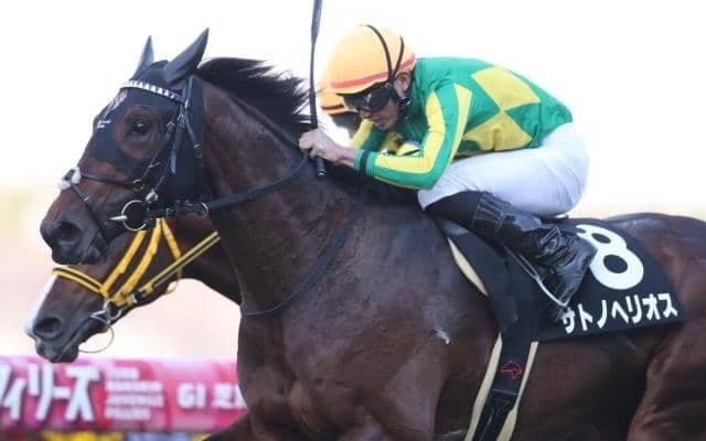 【ラジオNIKKEI賞出走馬・騎手確定】サトノヘリオス＆岩田望来騎手、ボーンディスウェイ＆石橋脩騎手など13頭