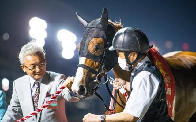 【川崎・スパーキングレディーC出走予定馬】ショウナンナデシコ、サルサディオーネら