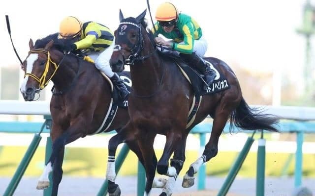 【ラジオNIKKEI賞枠順確定】サトノヘリオスは1枠1番、ボーンディスウェイは5枠6番