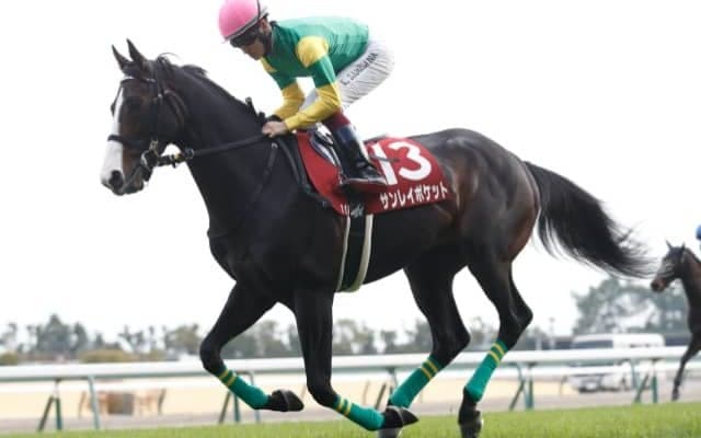【次走】宝塚記念除外のサンレイポケットは函館記念へ