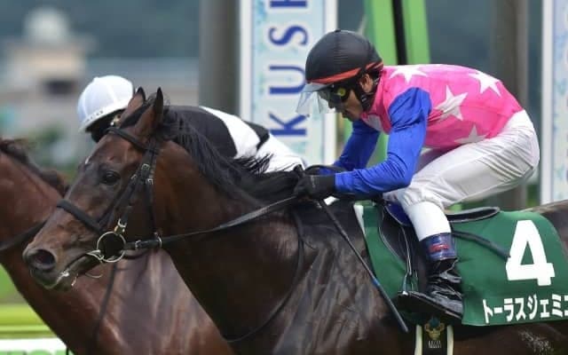 【七夕賞想定】前年覇者トーラスジェミニ、福島巧者ヴァンケドミンゴ、重賞2勝目狙うモズナガレボシなど16頭