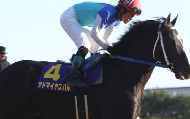 アドマイヤスバルが死亡 2009年白山大賞典覇者